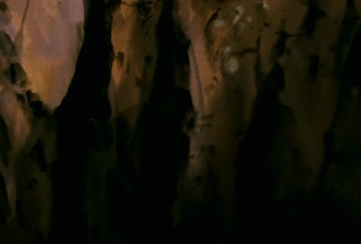 Dragon Ball Z Ep 152: No. 17 is Swallowed… The Transforming Cell is a Super Gourmet @ 06:40