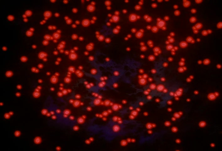 Dragon Ball Z Ep 161: Super Vegeta in Peril!! An Absolutely Perfect Terror Closes In!! @ 03:25