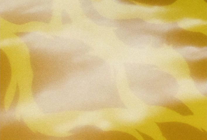 Dragon Ball Z Ep 188: Bye-Bye Everyone!! Goku's Last Instant Movement @ 14:23