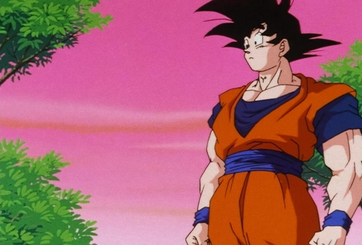 Dragon Ball Z Ep 195: A Great Inspiration!! I'm Ready! The Awesome Guy from the Afterlife @ 11:29