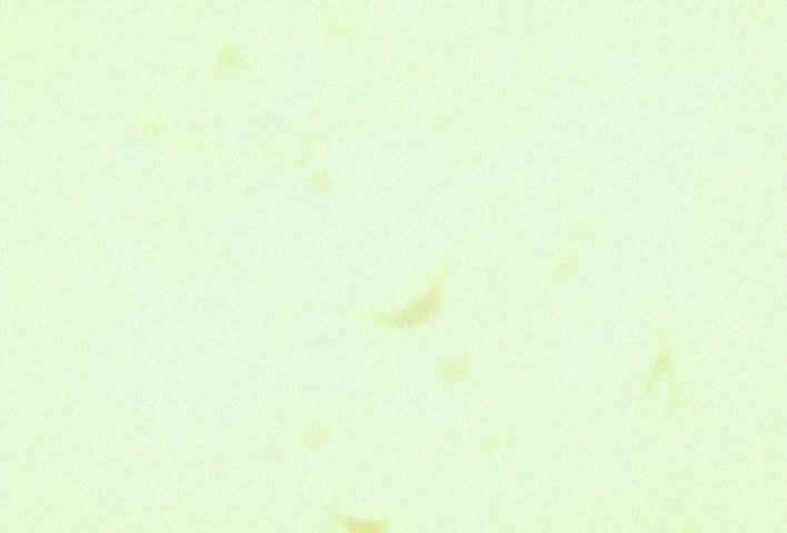 Dragon Ball Z Ep 198: A Blazing Decision!! Will it be Goku or Paikuhan?! @ 01:58