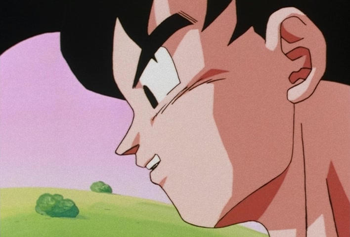 Dragon Ball Z Ep 205: Goku's Also Resurrected?! He's Participating in the Tenka'ichi Budokai!! @ 08:57