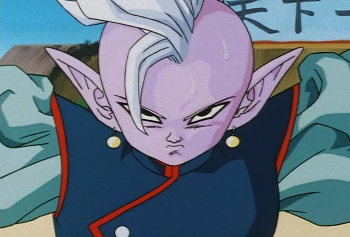 Dragon Ball Z Ep 229: A Super Confrontation of Destiny!! The Clash of Goku vs Vegeta @ 12:53