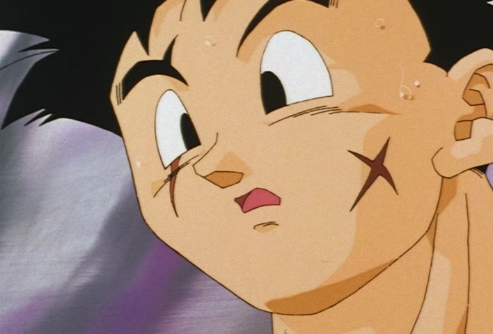 Dragon Ball Z Ep 239: The Struggle of Videl and the Others! Find the Dragon Balls @ 16:18