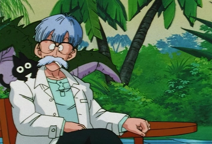 Dragon Ball Z Ep 245: An Astounding, Great Transformation!! Super Saiyan 3 @ 15:01