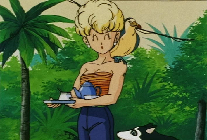 Dragon Ball Z Ep 245: An Astounding, Great Transformation!! Super Saiyan 3 @ 15:20