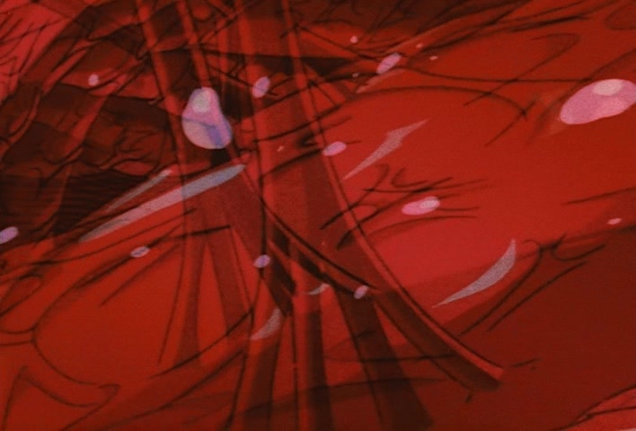 Dragon Ball Z Ep 272: A Hero is Lost?! Vegetto is Absorbed @ 22:27