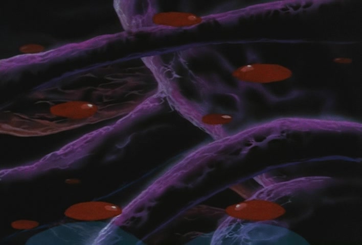 Dragon Ball Z Ep 273: A Demonic Maze!! What is There Inside Boo's Belly?! @ 08:47