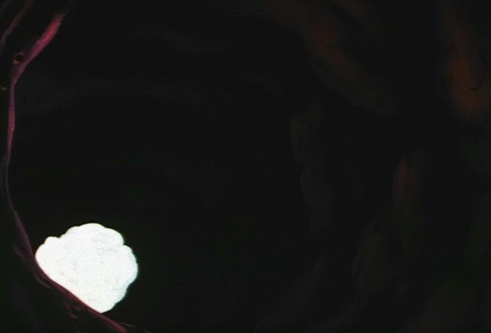 Dragon Ball Z Ep 277: Earth Disappears!! Boo's Reverse-Transformation of Evil @ 02:35