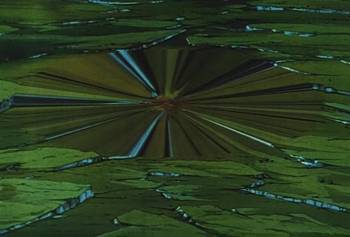 Dragon Ball Z Ep 279: Seize the Future!! A Decisive Battle With the Universe at Stake @ 19:55