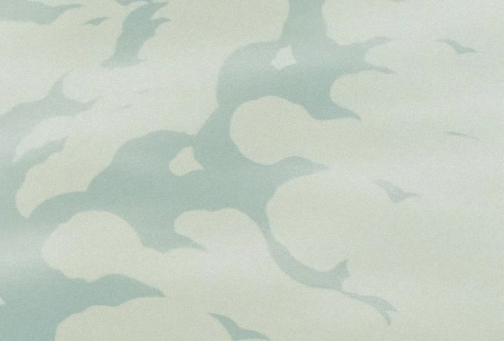 Dragon Ball Z Ep 291: Even Stronger!! Goku's Dream is Super-Huge @ 13:28
