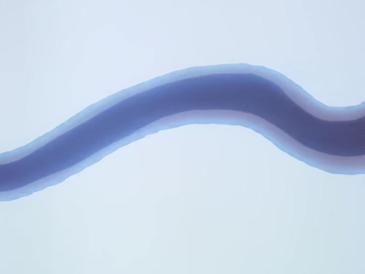 Dragon Ball Ep 2: The Emperor's Quest @ 04:12