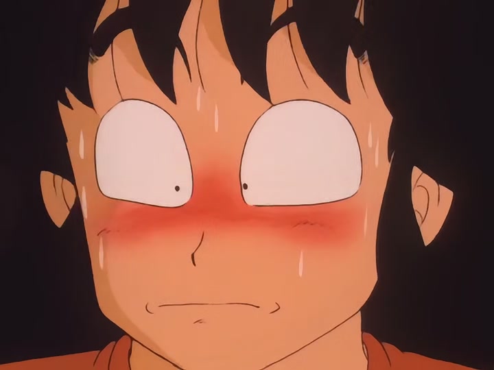 Dragon Ball Ep 10: The Dragon Balls are Stolen! @ 13:17
