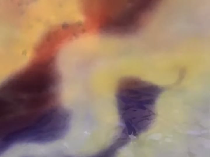 Dragon Ball Ep 16: Find That Stone! @ 12:29