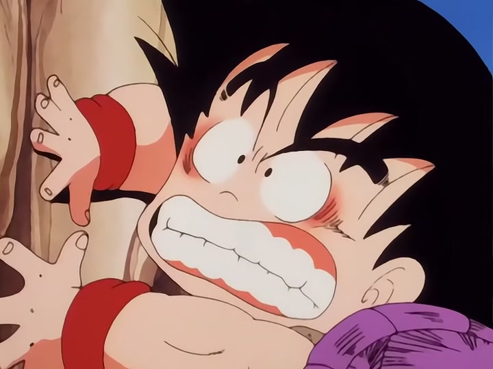 Dragon Ball Ep 19: The Tournament Begins @ 05:29