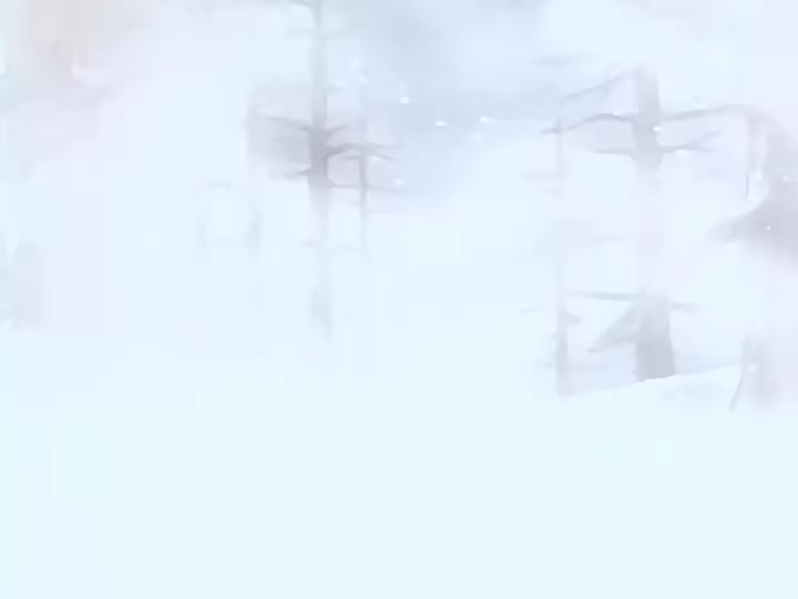 Dragon Ball Ep 35: Cold Reception @ 01:42