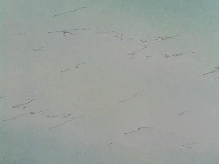 Dragon Ball Ep 50: Pop Goes the Pirate @ 06:27