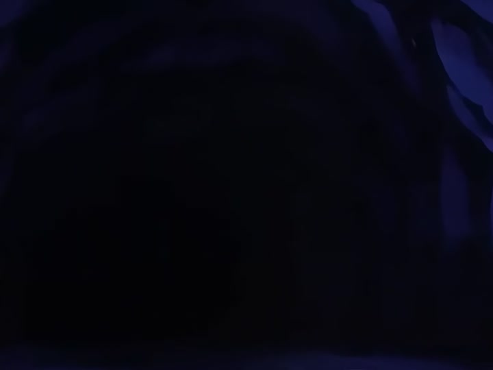 Dragon Ball Ep 50: Pop Goes the Pirate @ 12:30