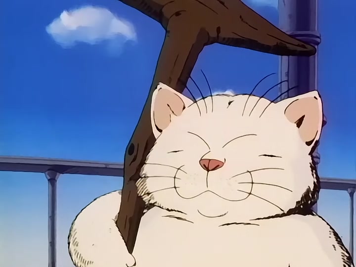 Dragon Ball Ep 61: Korin Tower @ 13:59