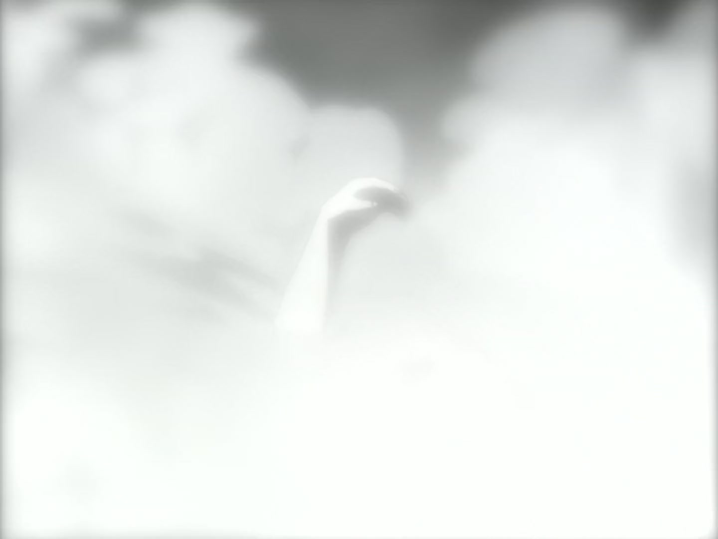 Fullmetal Alchemist Ep 8: The Philosopher's Stone @ 16:22
