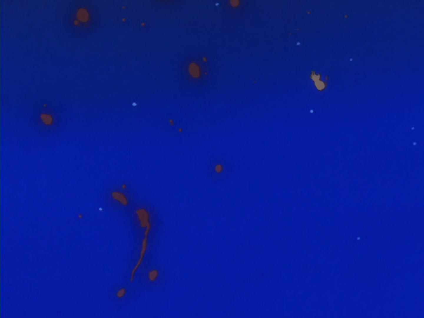 Fullmetal Alchemist Ep 25: Words of Farewell @ 12:42
