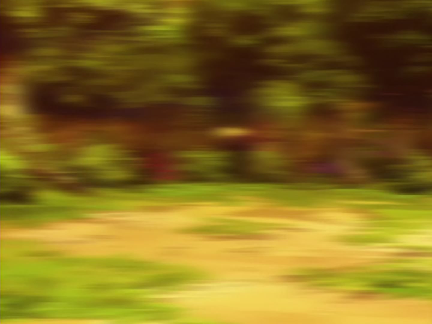 Fullmetal Alchemist Ep 28: One is All, All is One @ 11:47