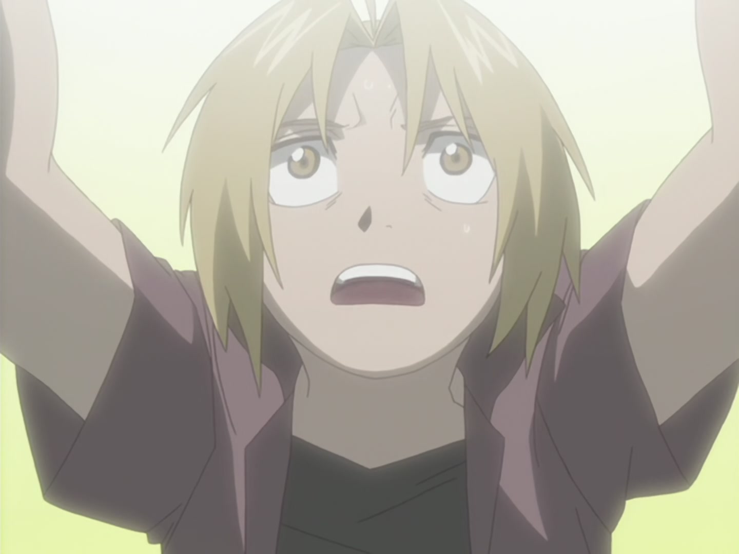 Fullmetal Alchemist Ep 29: The Untainted Child @ 15:13