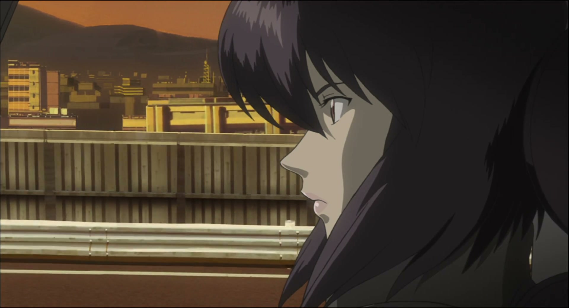Ghost in the Shell: Stand Alone Complex Ep 49: IN: The Day the Bridge Falls - MARTIAL LAW @ 00:03:29