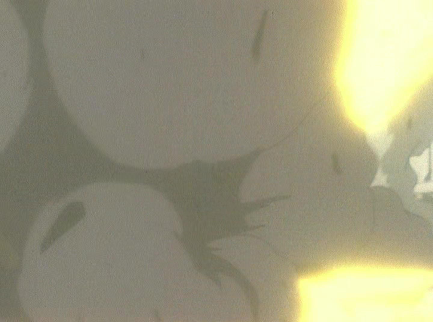 Mobile Suit Gundam Wing Ep 36: Sanc Kingdom's Collapse @ 17:13