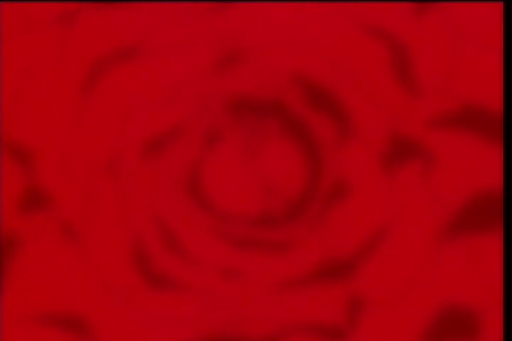 Hellsing Ep 9: Red Rose Vertigo @ 12:54