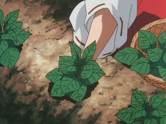 Inuyasha Ep 48: Return to the Eastern Lands @ 00:09:41