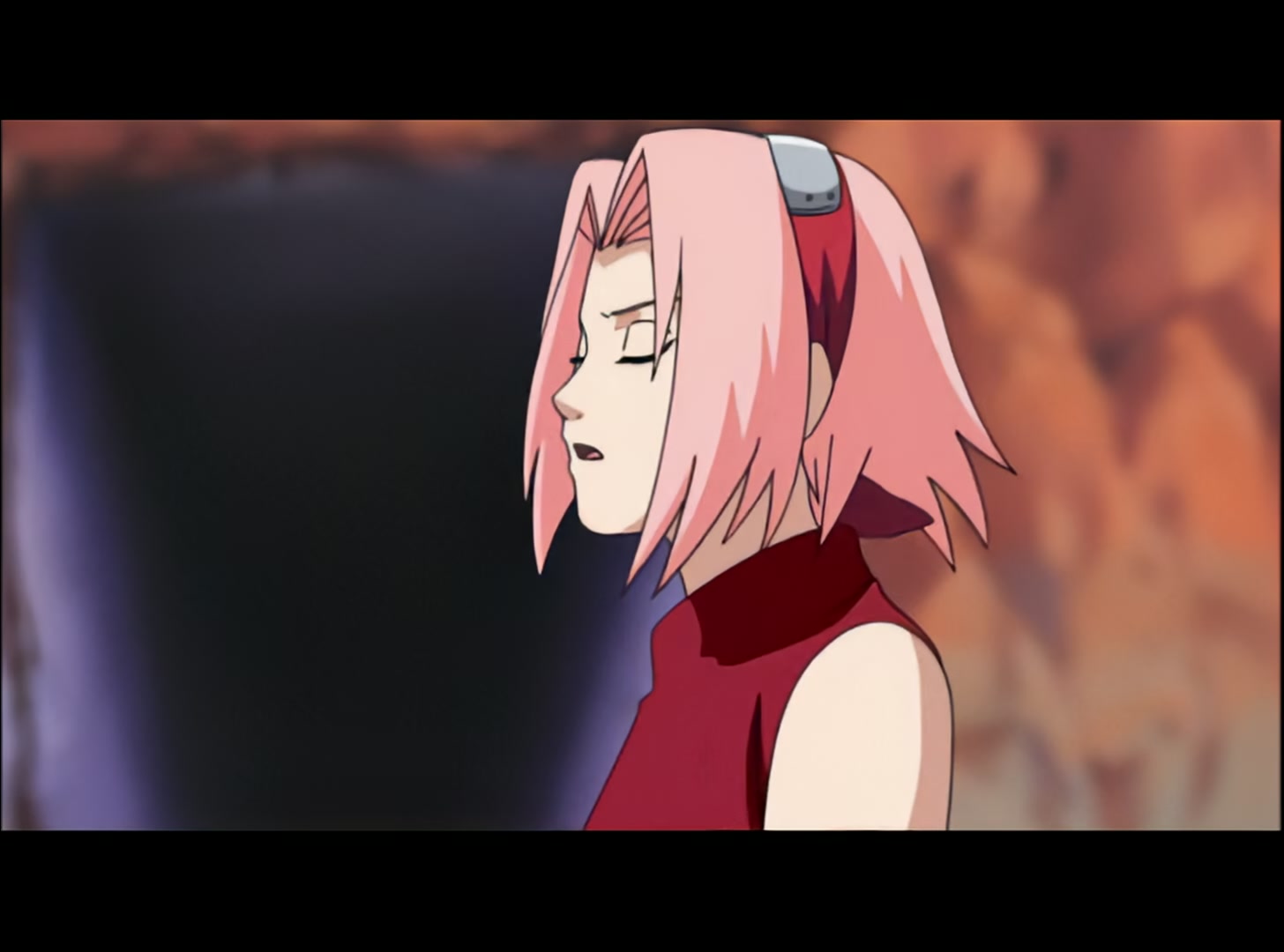 Naruto: Shippuden Ep 1: Homecoming @ 00:04:50