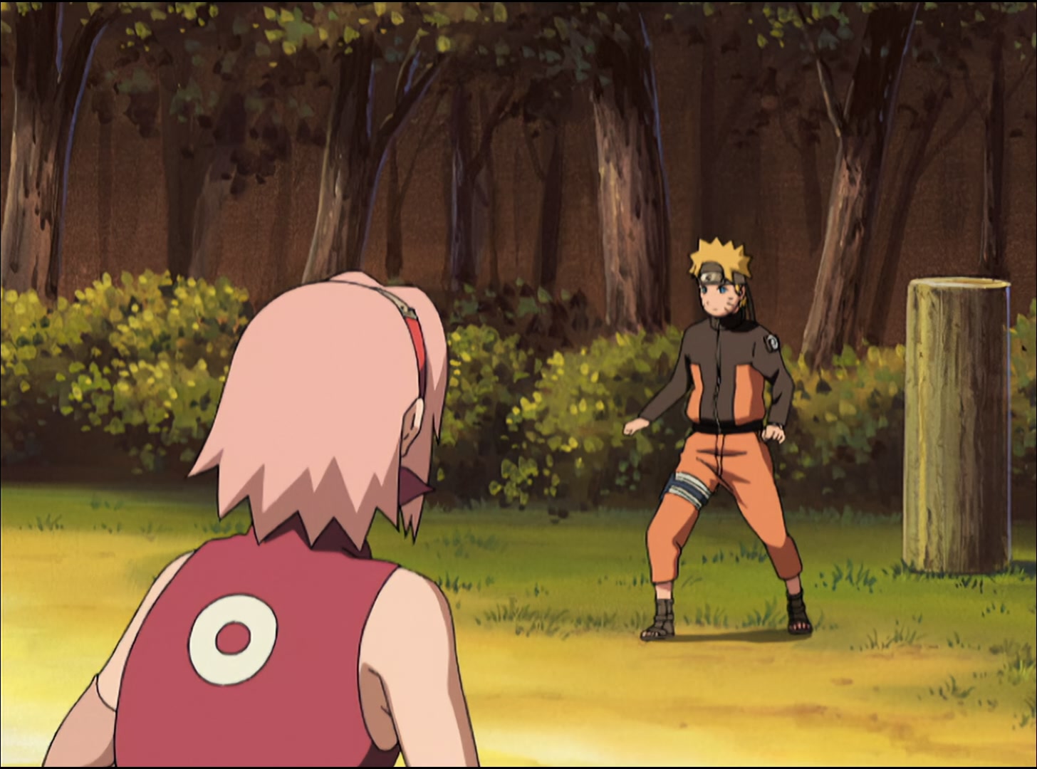 Naruto: Shippuden Ep 3: The Results of Training @ 00:06:49