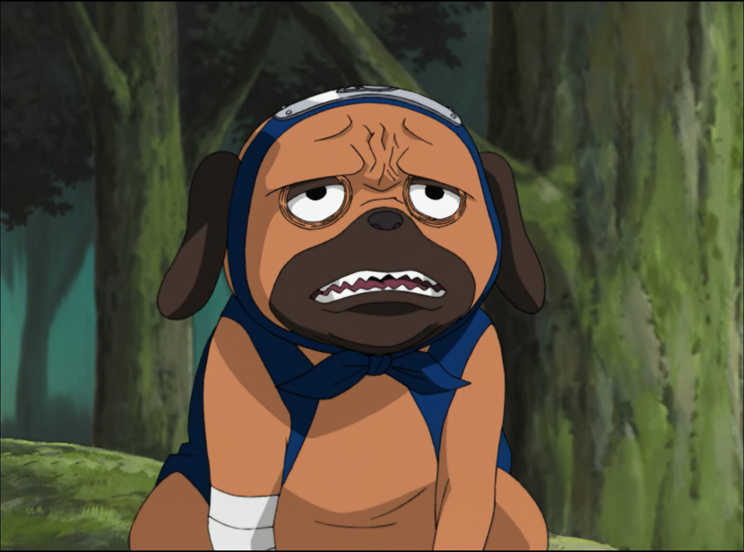 Naruto: Shippuden Ep 12: The Retired Granny's Resolve @ 00:12:42