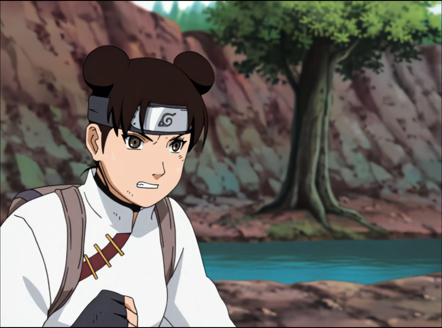 Naruto: Shippuden Ep 22: Chiyo's Secret Skills @ 00:06:39