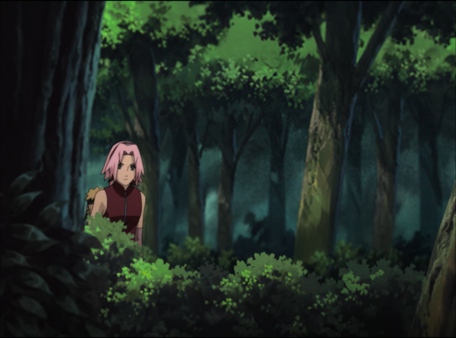Naruto: Shippuden Ep 39: The Tenchi Bridge @ 00:03:29