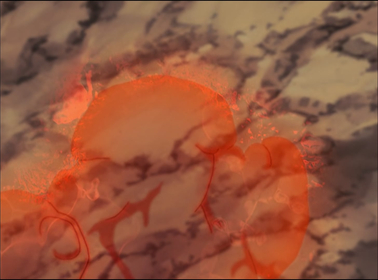 Naruto: Shippuden Ep 41: The Top-Secret Mission Begins @ 00:08:28