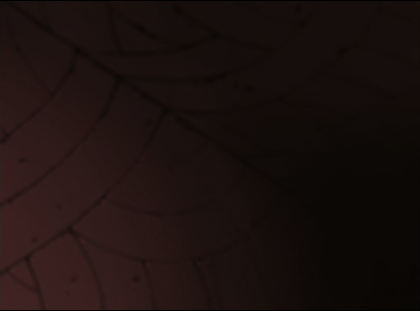 Naruto: Shippuden Ep 47: Infiltration: The Den of the Snake! @ 00:19:45
