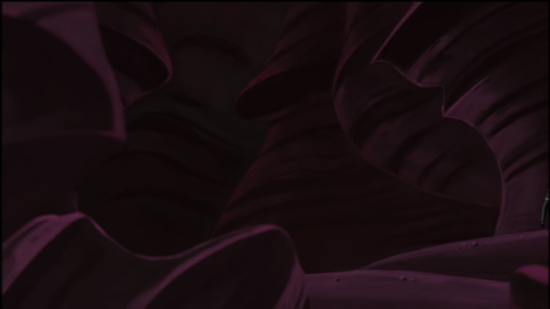 Naruto: Shippuden Ep 60: Mutability @ 00:08:34