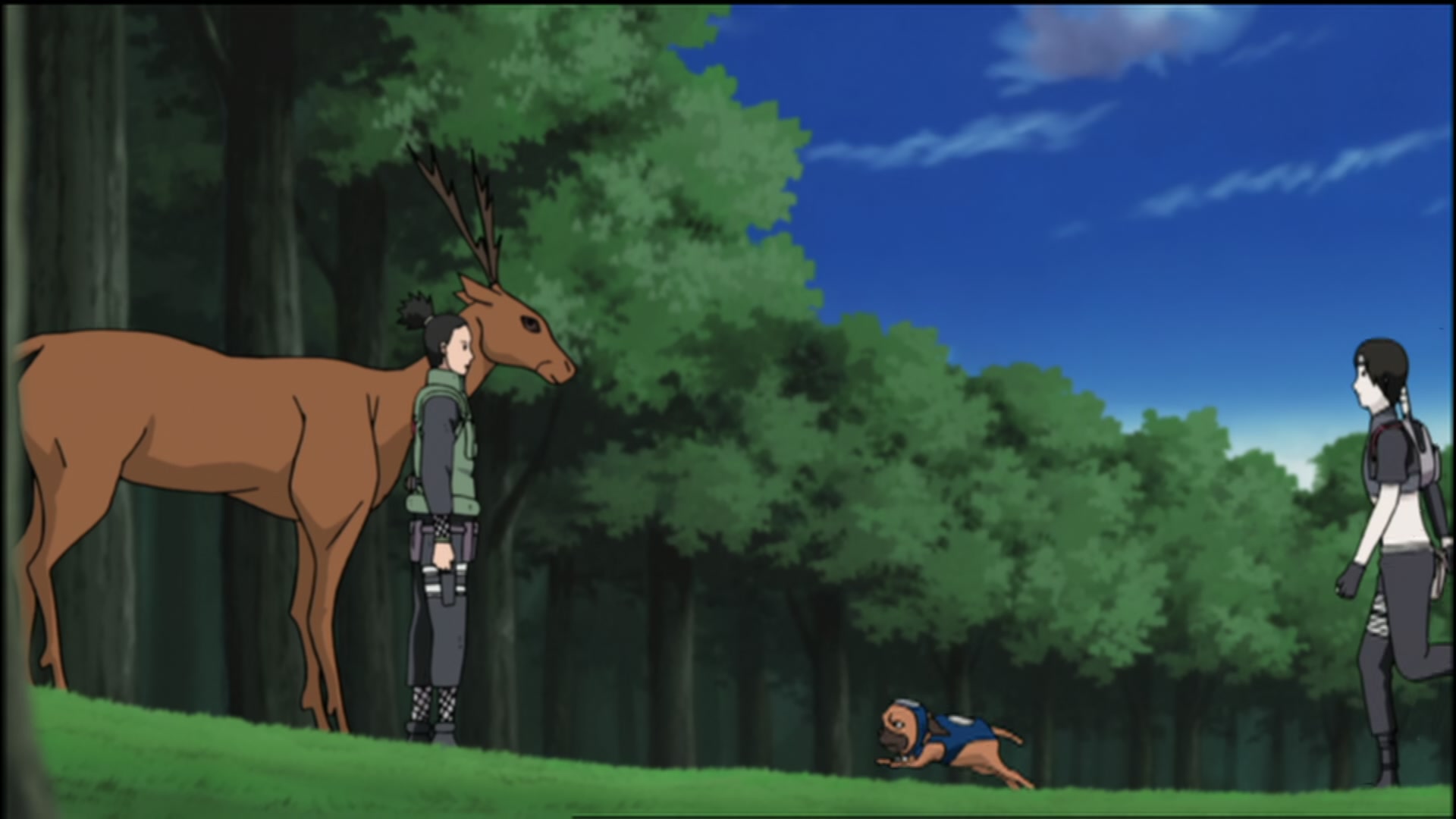 Naruto: Shippuden Ep 88: Wind Style: Rasen Shuriken! @ 00:13:10