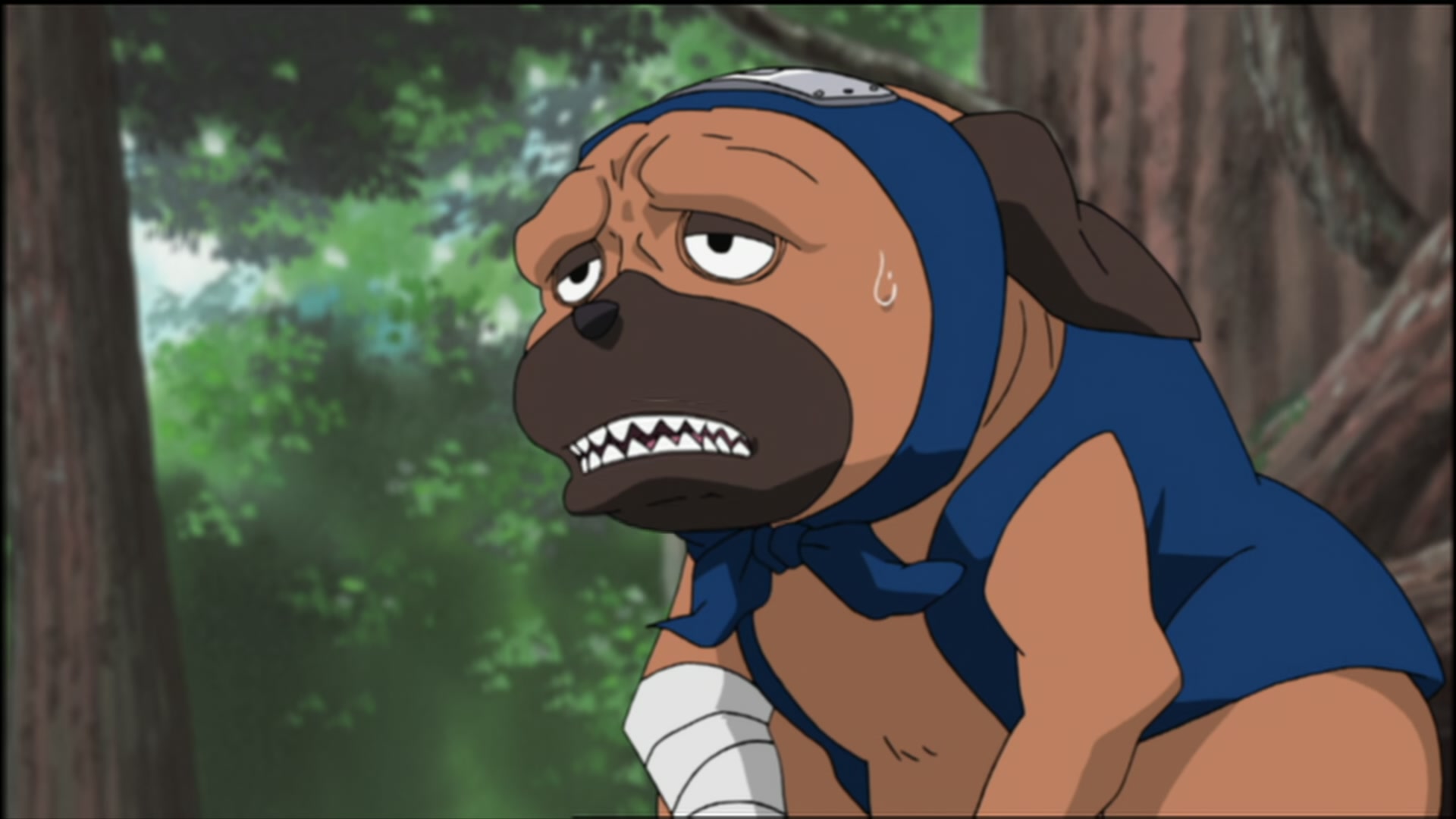 Naruto: Shippuden Ep 98: The Target Appears @ 00:06:03