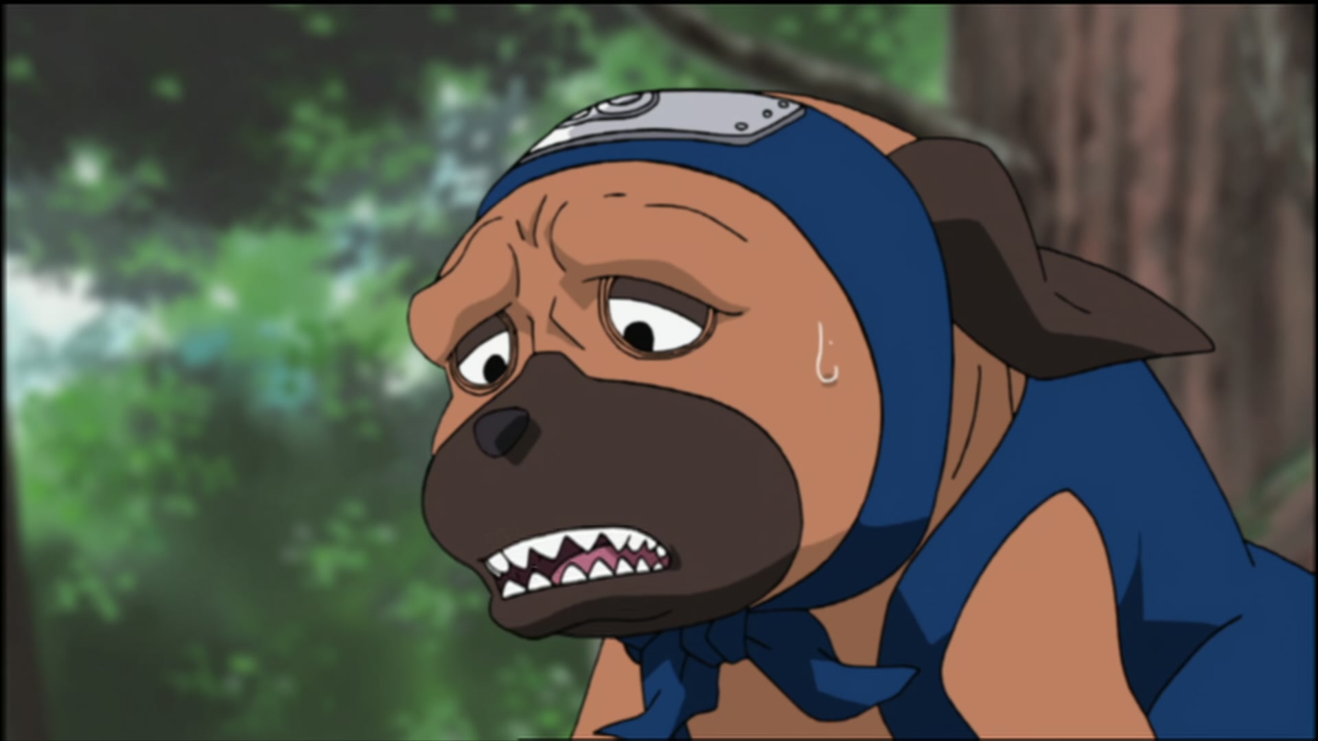 Naruto: Shippuden Ep 98: The Target Appears @ 00:06:17
