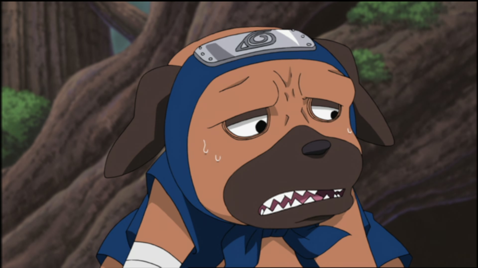 Naruto: Shippuden Ep 98: The Target Appears @ 00:06:27