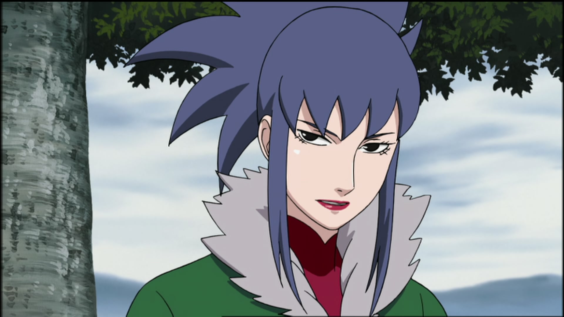 Naruto: Shippuden Ep 105: The Battle Over the Barrier @ 00:08:06