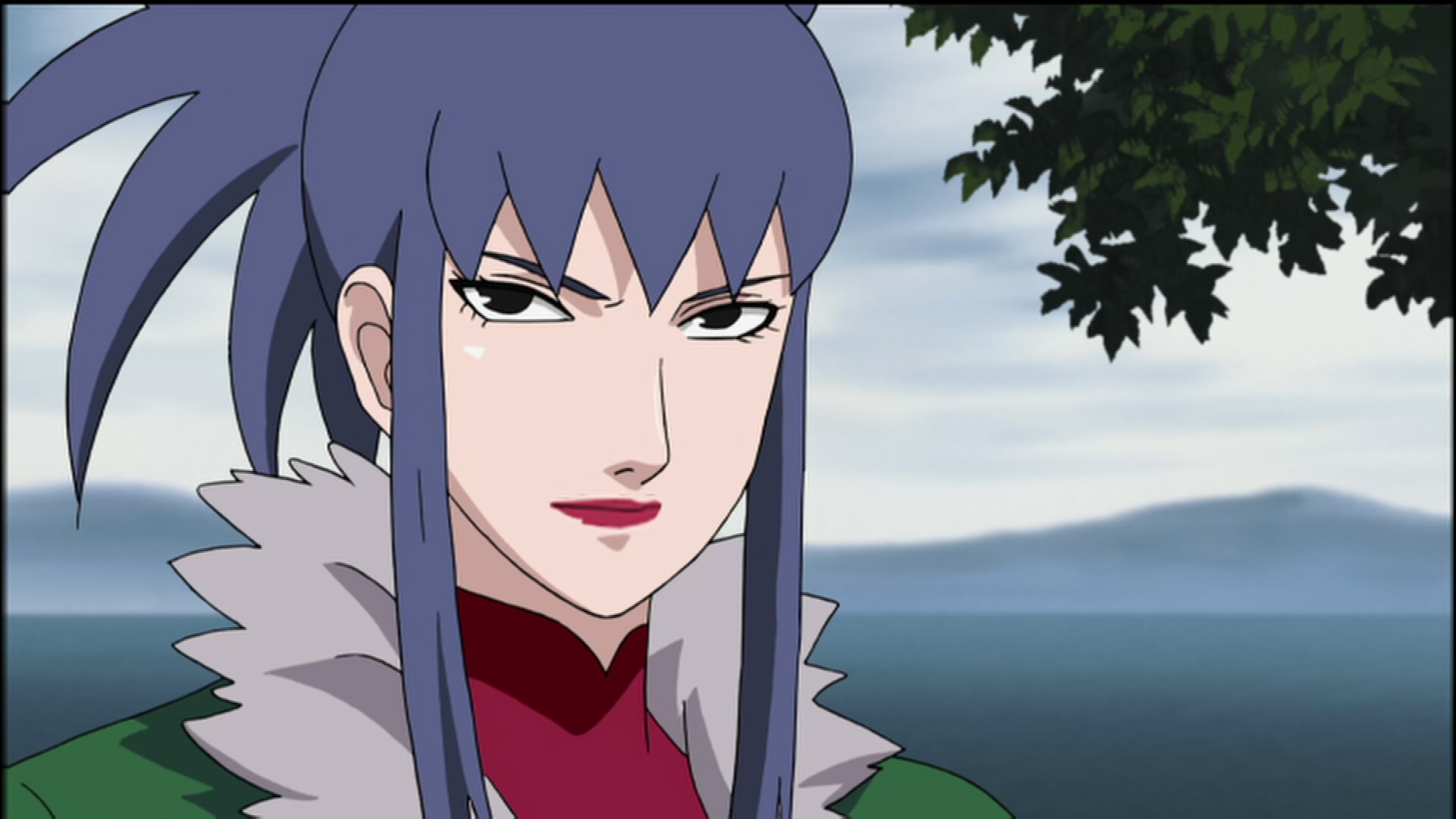 Naruto: Shippuden Ep 105: The Battle Over the Barrier @ 00:08:25