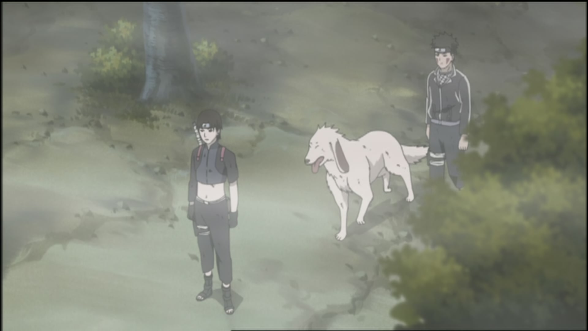 Naruto: Shippuden Ep 110: Memory of Guilt @ 00:05:40