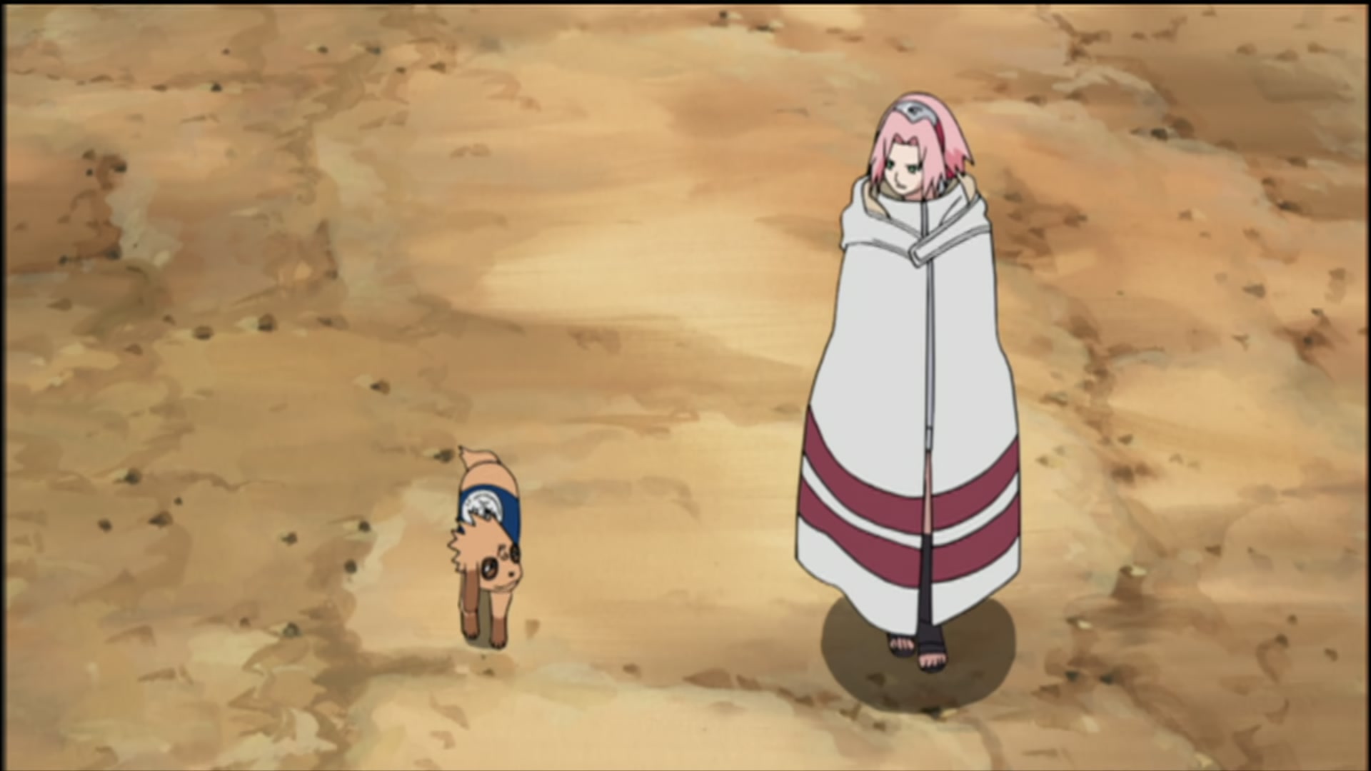 Naruto: Shippuden Ep 122: The Hunt @ 00:08:48