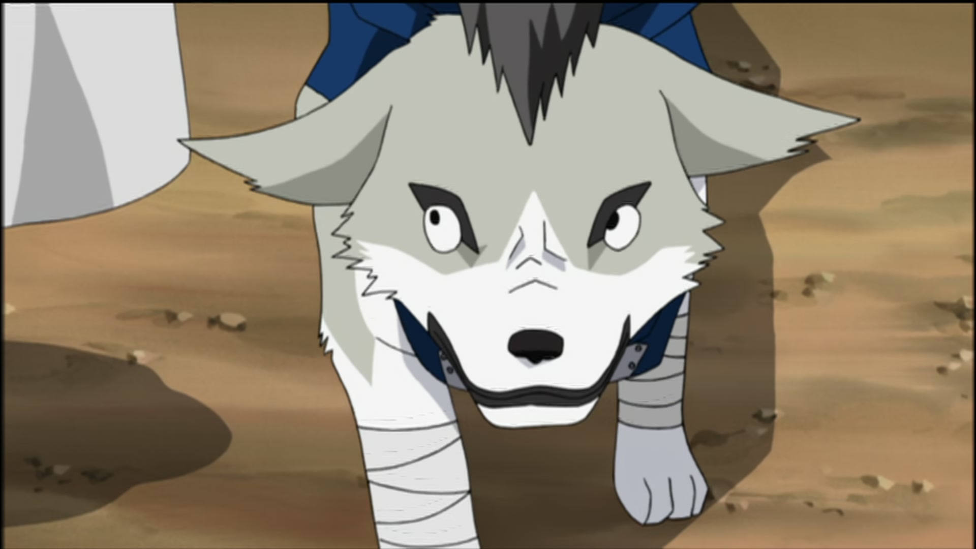 Naruto: Shippuden Ep 122: The Hunt @ 00:11:05