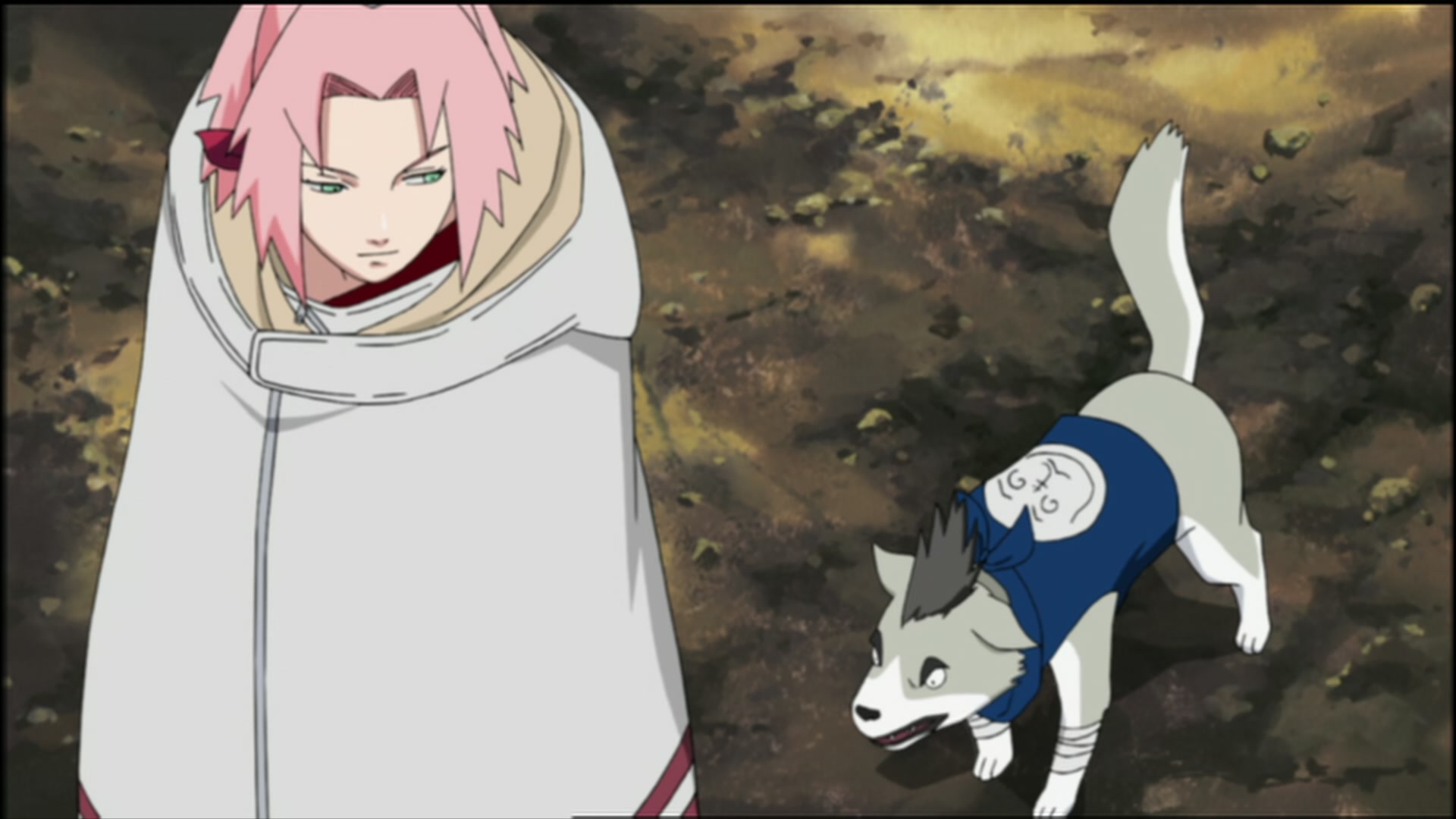Naruto: Shippuden Ep 125: Disappearance @ 00:11:10