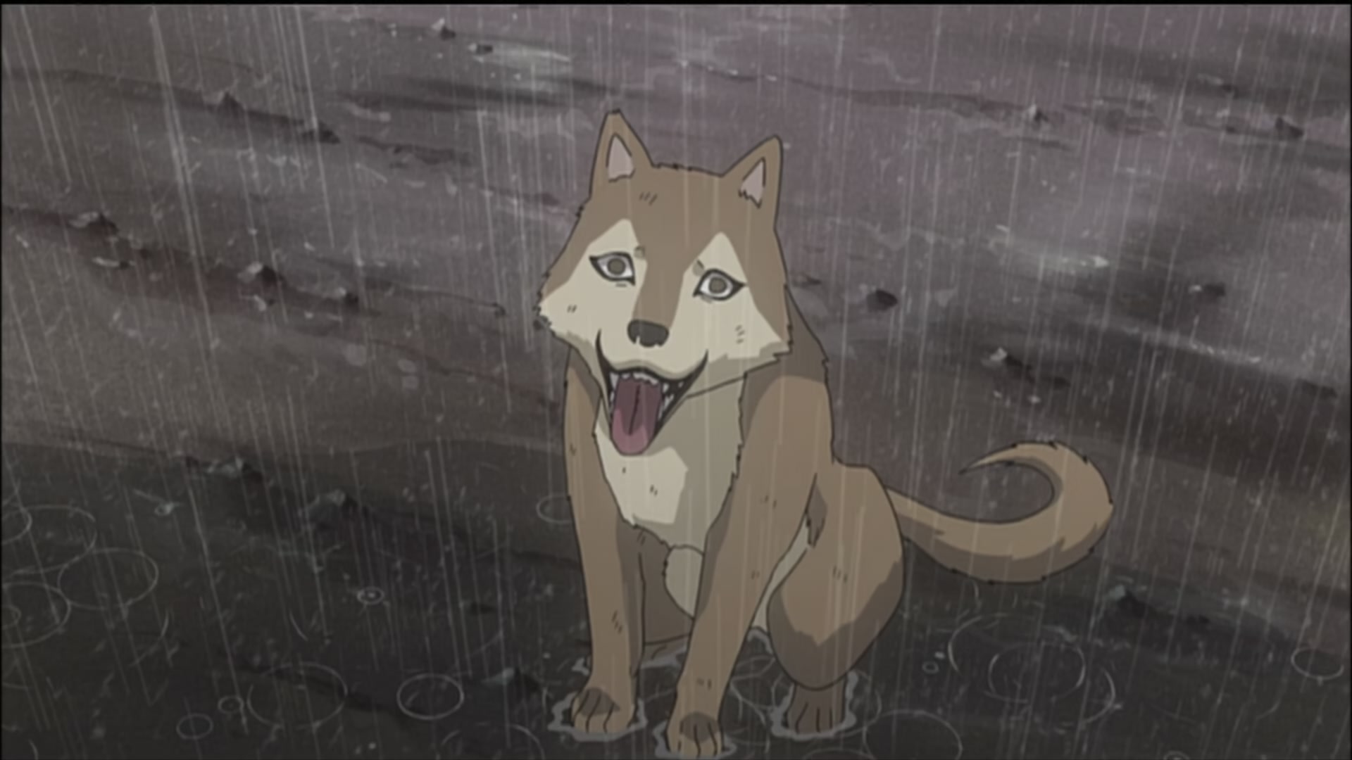 Naruto: Shippuden Ep 172: Meeting @ 00:07:52